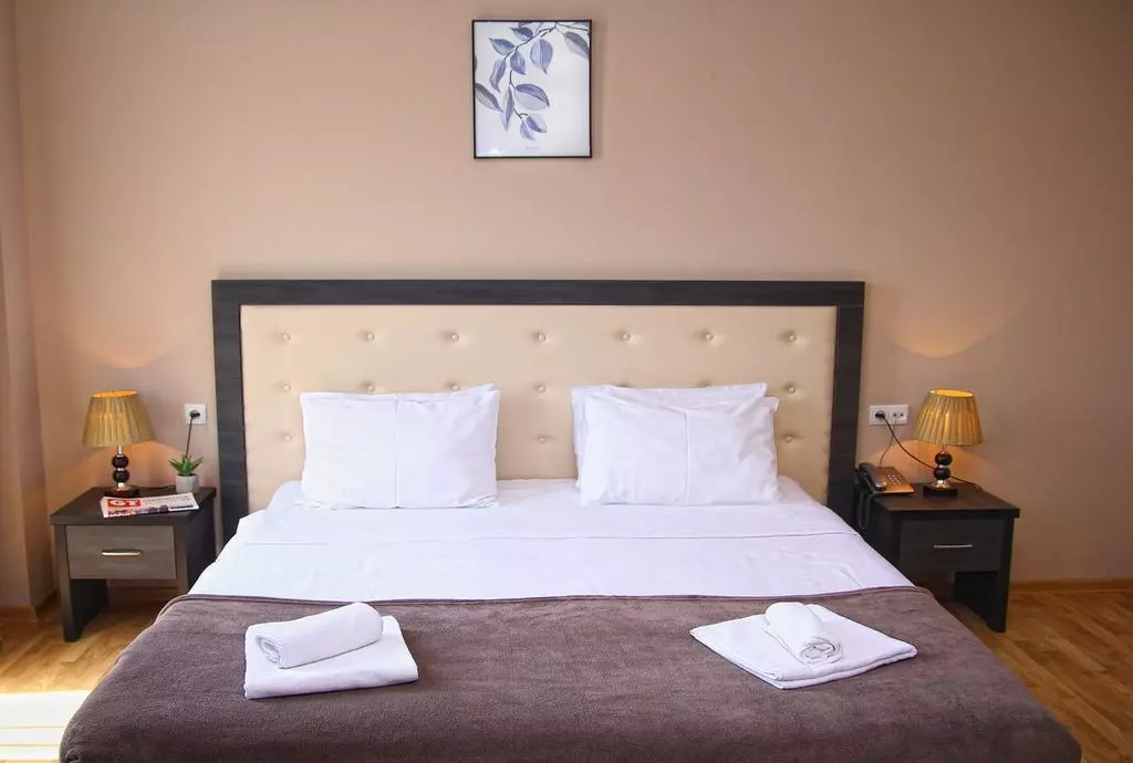 HOTEL ROGA LUX TBILISI_shabavizparvaz_05.jpg